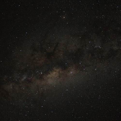 Photo #7803083
