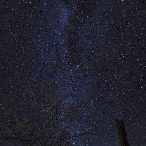 Photo #7803087