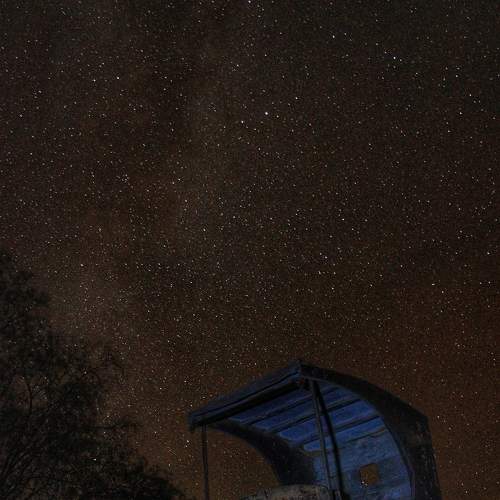 Photo #7803115