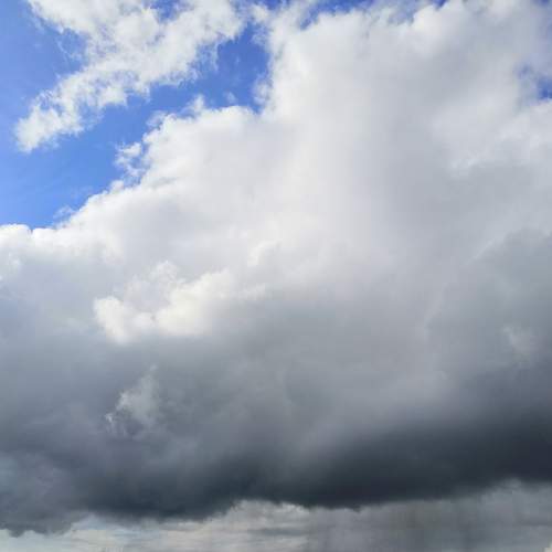 Photo #7803239