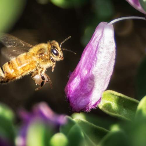 Photo #7803681