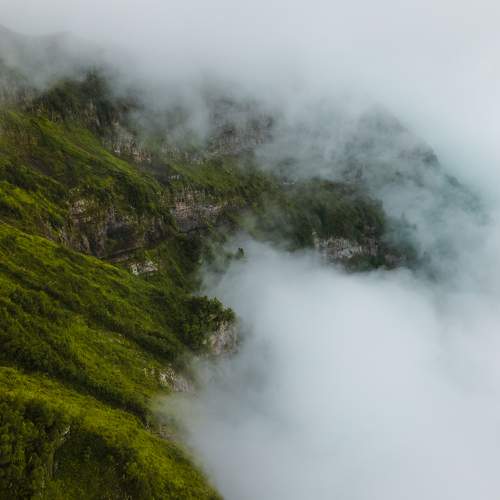 Photo #7803906