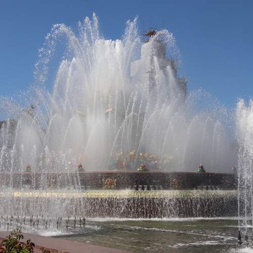 Photo #7804234