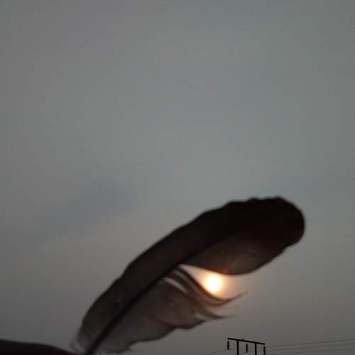 Photo #7804284