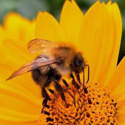 Photo #7804610