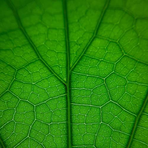 Photo #7804622