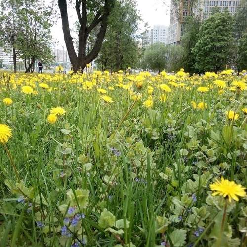 Photo #7805916