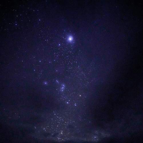 Photo #7806438
