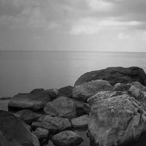 Photo #7806488