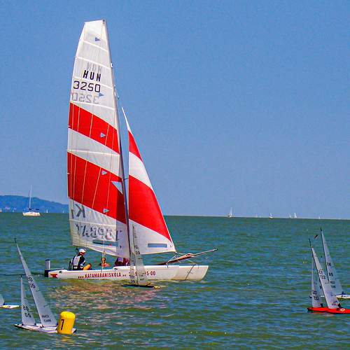 Photo #7806785