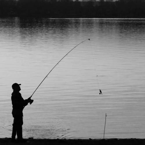 Photo #7806872