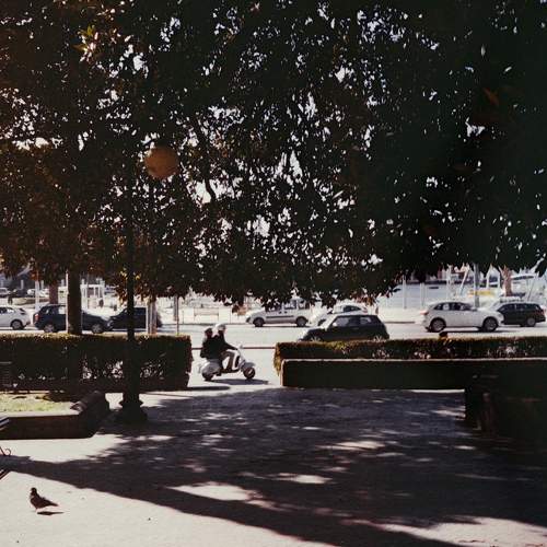Photo #7807261