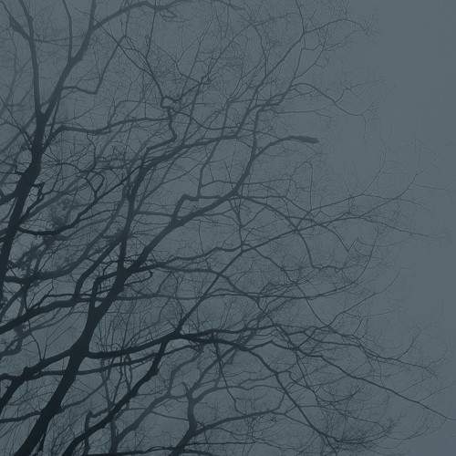 Photo #7807406