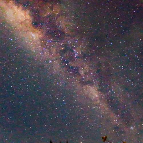 Photo #7807559