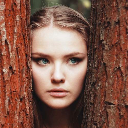 Photo #7807704