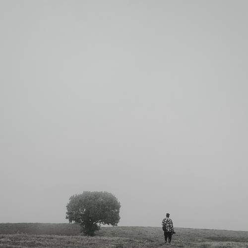 Photo #7807854