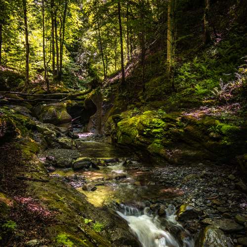 Photo #7807922