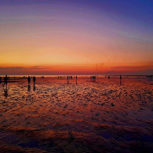 Photo #7808823