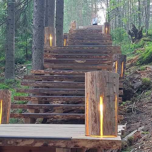 Photo #7809798