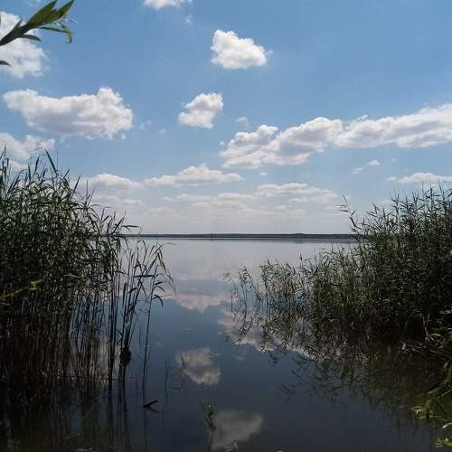 Photo #7810717