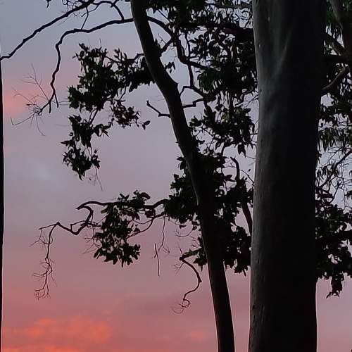 Photo #7810828