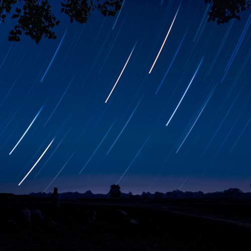 Photo #7811078