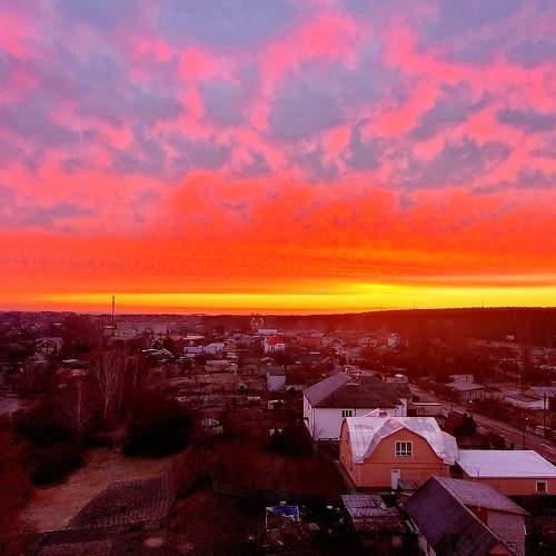 Photo #7811651