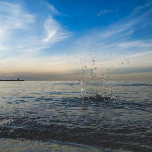 Photo #7811754