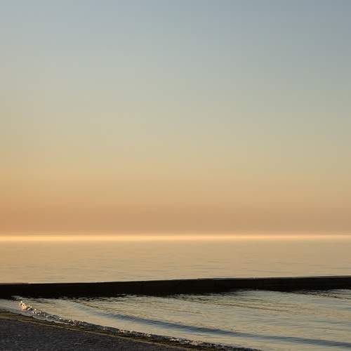 Photo #7811755