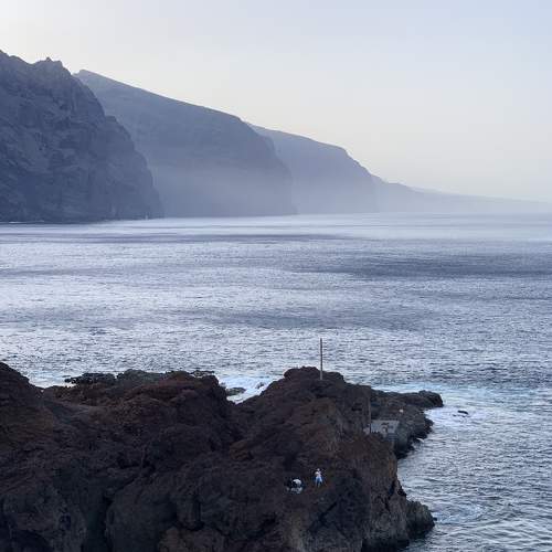 Photo #7811770