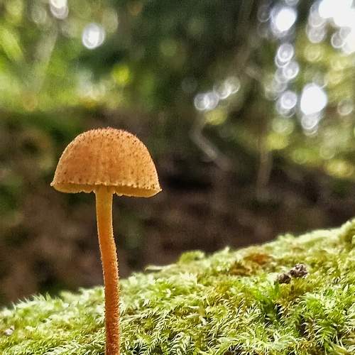 Photo #7812414