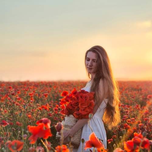 Photo #7812445