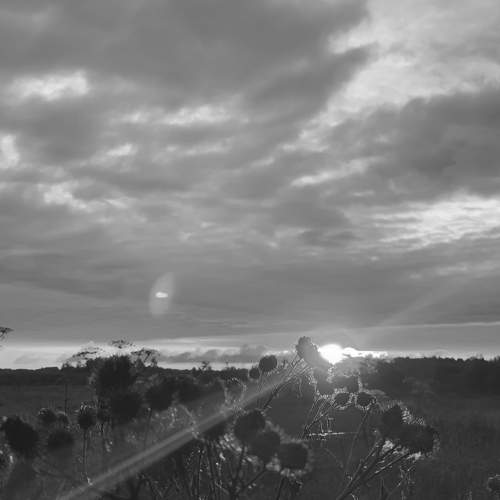 Photo #7812698