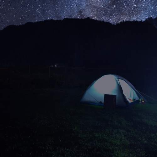 Photo #7812751
