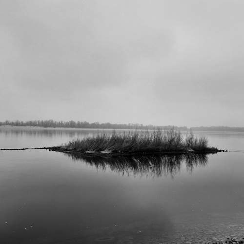 Photo #7812905