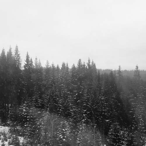 Photo #7813095