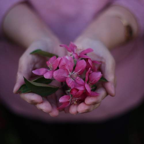 Photo #7813641