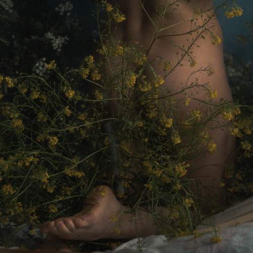 Photo #7813925