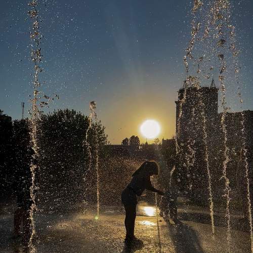 Photo #7814004