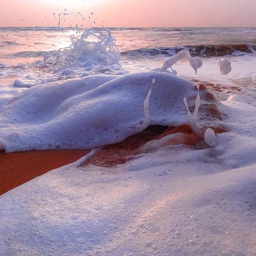Photo #7814332