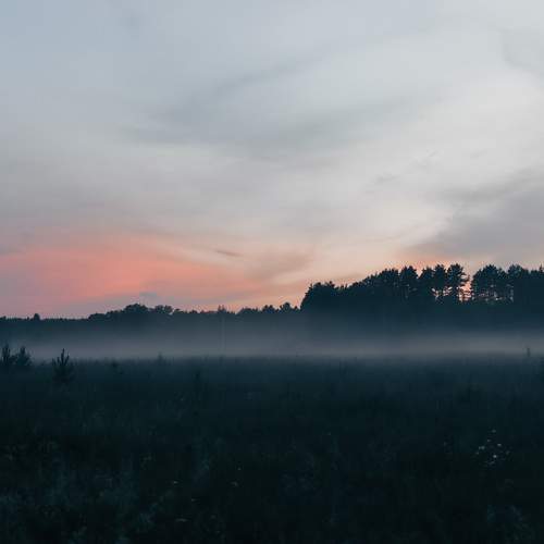 Рассветы - туманы