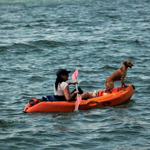 Photo #7814548