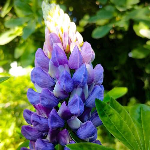 Photo #7814732