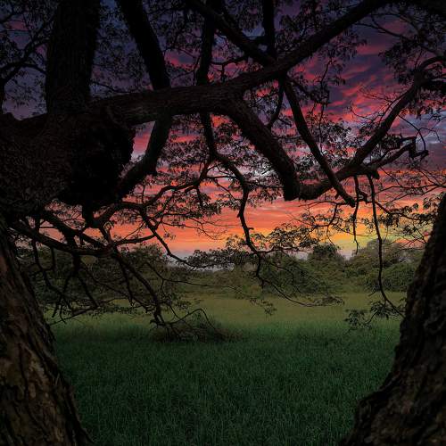 Photo #7814817