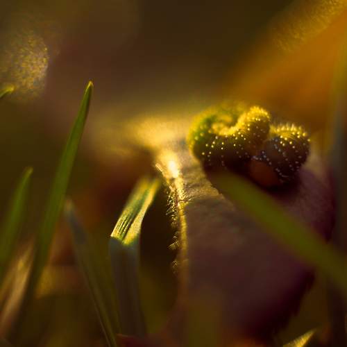 Photo #7814922