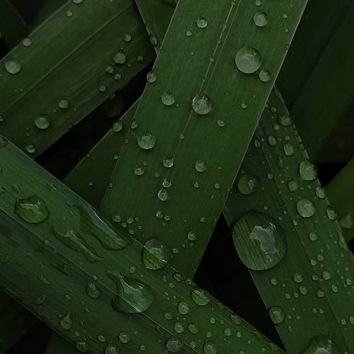 Photo #7815111