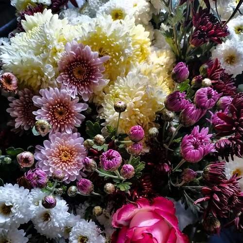 Photo #7815132