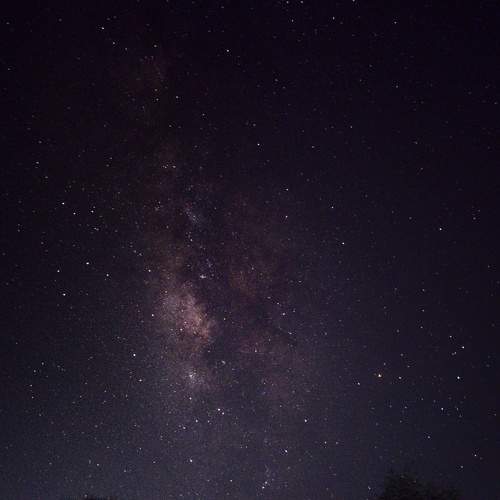 Photo #7815529