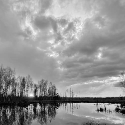 Photo #7815666
