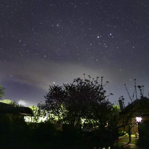 Photo #7815823